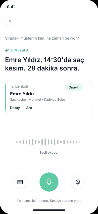Asistana sesle soru sorma ekranı